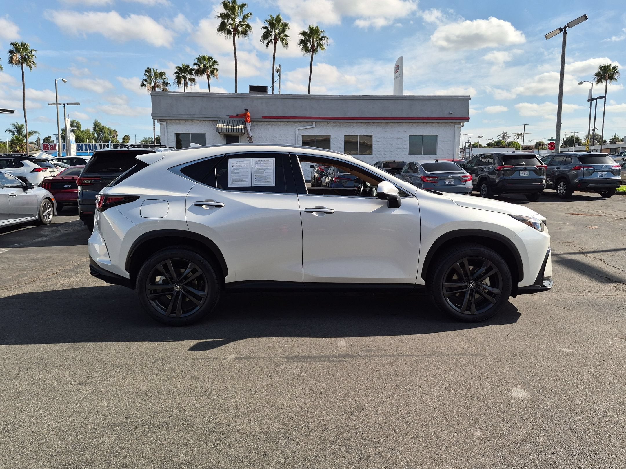 2024 Lexus NX PLUG-IN HYBRID ELECTRIC VEHICLE NX 450h+ Luxury