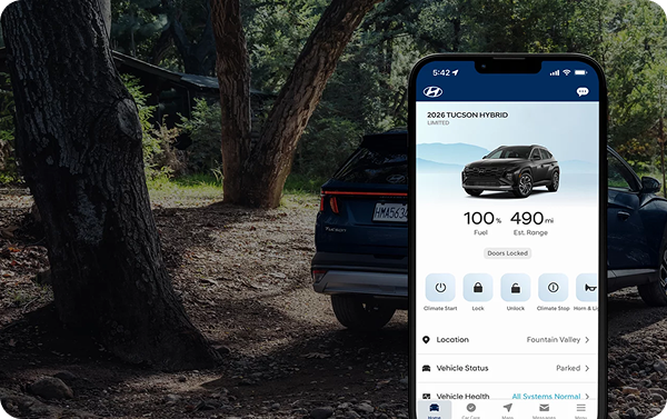 Bluelink+ app on smartphone