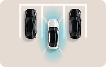 Surround View Monitor