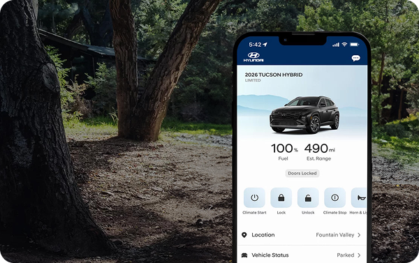 Bluelink+ app on smartphone
