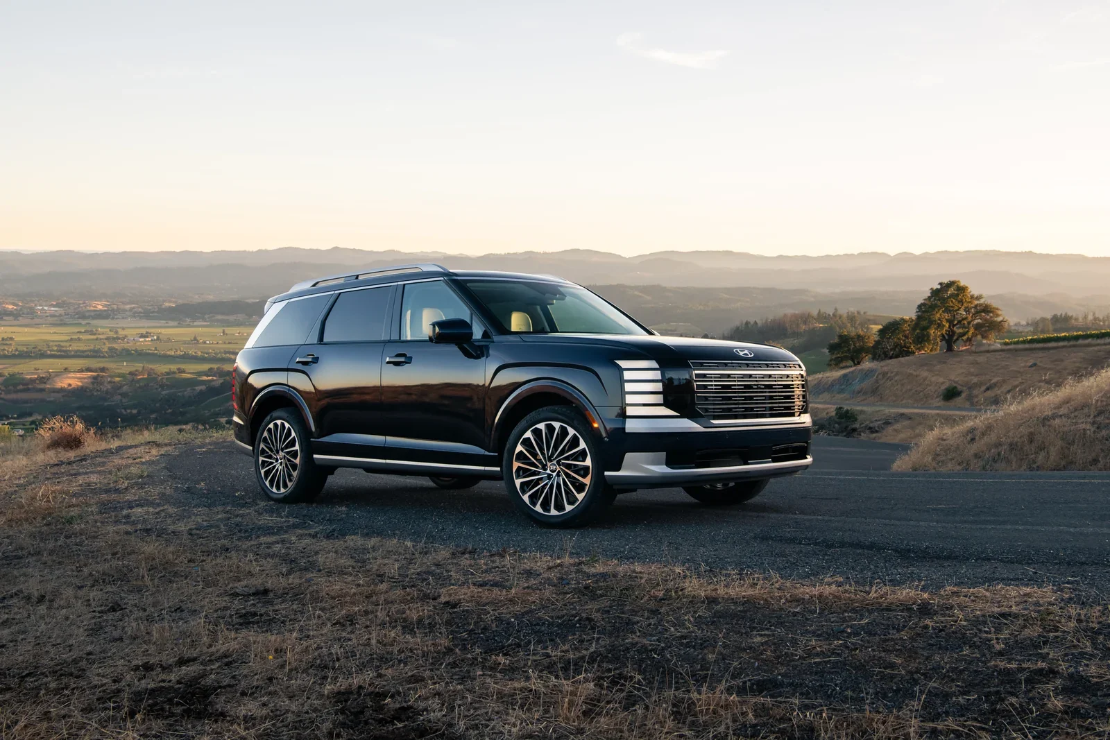 A Hyundai Palisade.